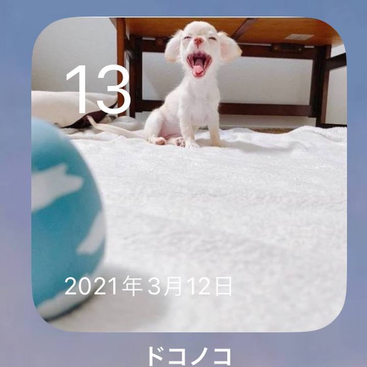 Aa788a9a c838 45e6 84fd fc5cc3aa7b73 1678680278595