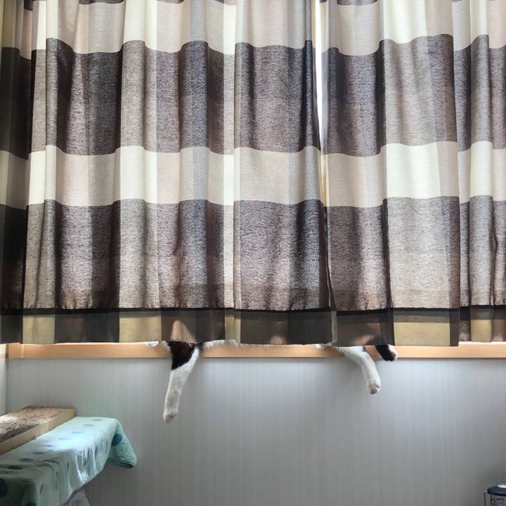 Aa78b00f e8e7 41d1 afc6 c95ae70bc321 1587987617256