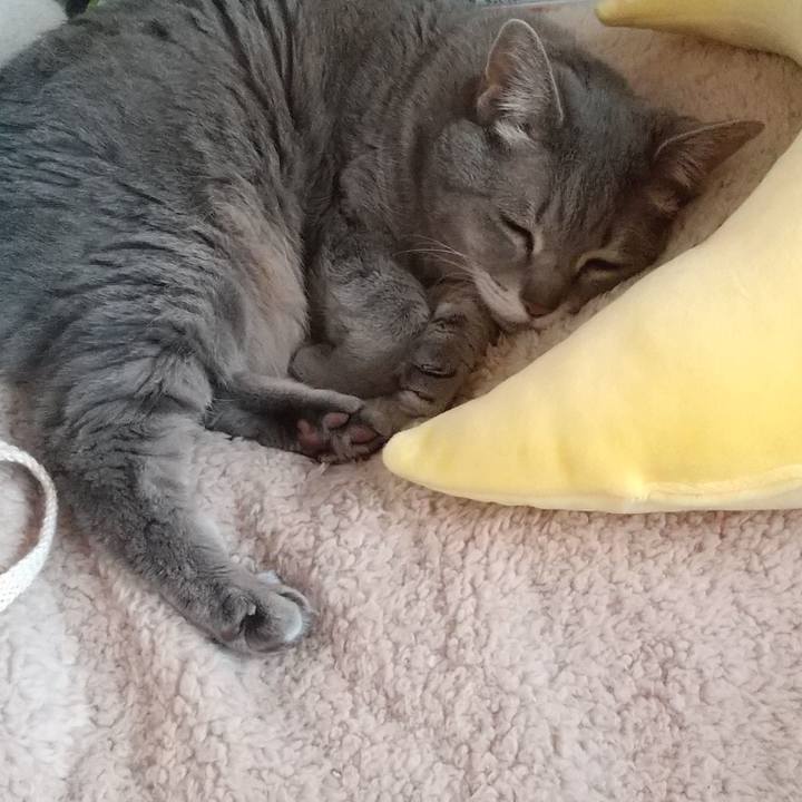 Aa78b39d 985c 4f41 9d2b b2e9f1cb60f6 1647139844070