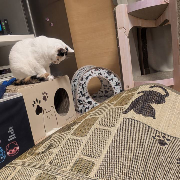 Aa78c7e8 7029 45bf 9244 1e258fd61e22 1754829802642