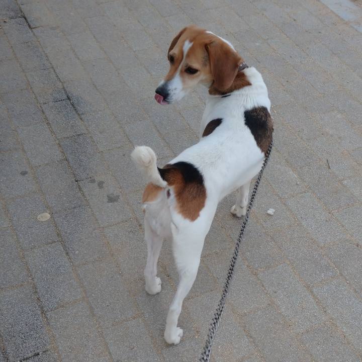 Aa78d174 836a 4921 9d81 1c4e1ad4a23f 1615557621121