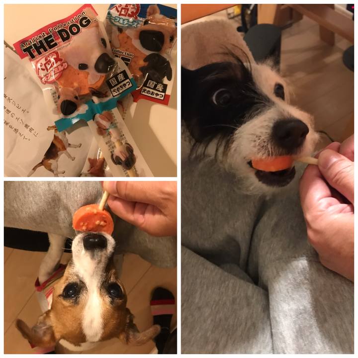 Aa78d9c1 243f 46f5 ac31 bef47742f108 1542706529664