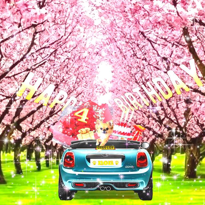 Aa78f958 8cc9 44f0 b843 3f3f40c37f84 1709797071680