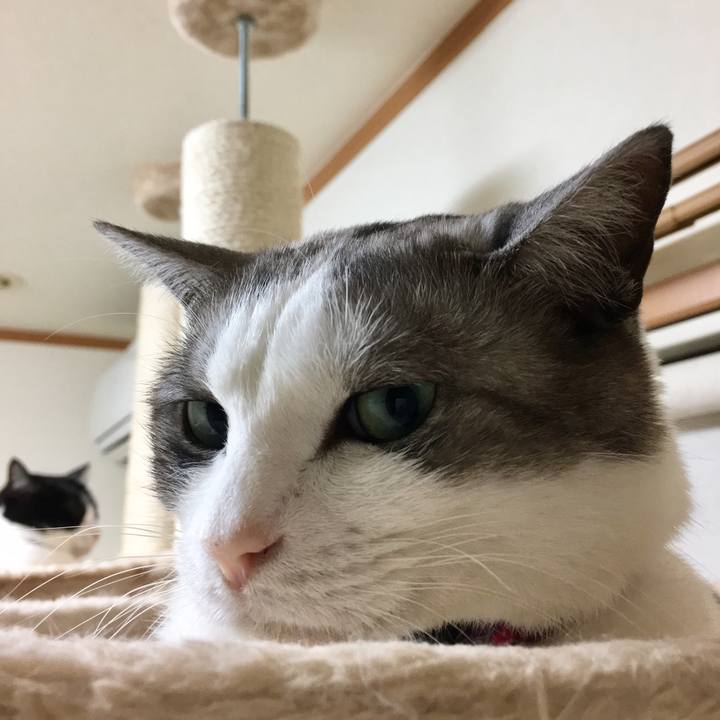 Aa78f972 ff66 4826 996d cf707dd40657 1508159943157