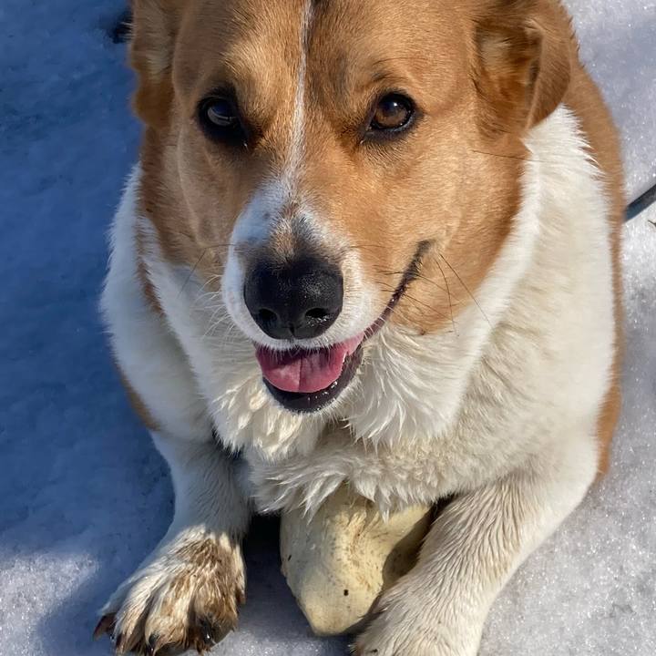 Aa78ff76 c041 40dc bae9 61aa30ad1c49 1707274239650