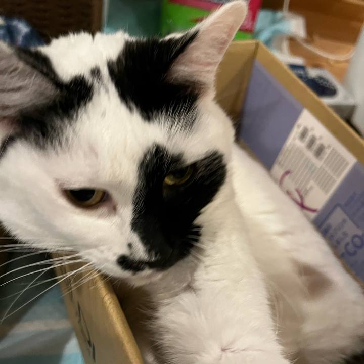 Aa792aa3 59e3 498c 9491 21b1e065170c 1768920940805