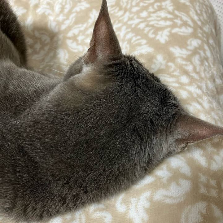 Aa792ade 7416 41c5 bbc1 24aab104f2d4 1744365428269