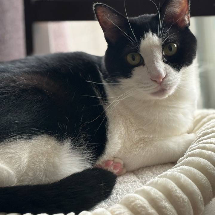 Aa794994 3610 455b bea0 5dd0f147558c 1763362703469