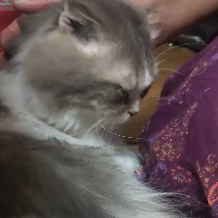 Aa7978ae dd9c 426b 8c10 dcf372a91868 1624701655169