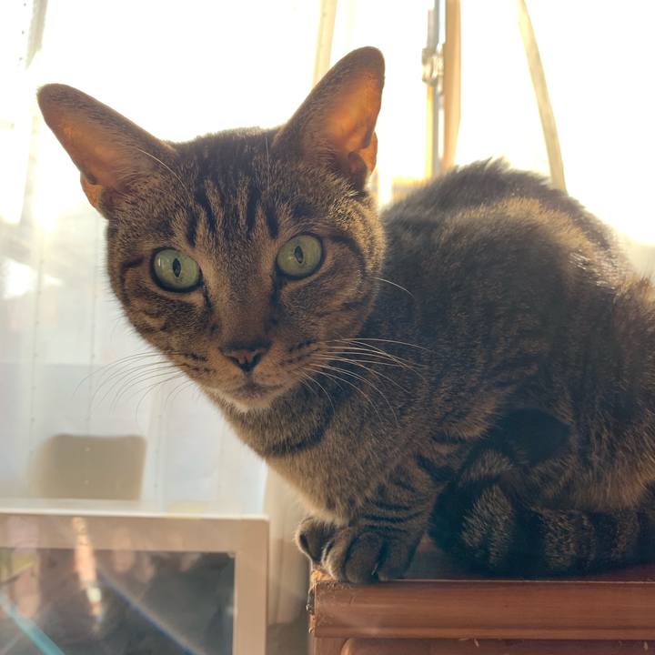 Aa7989e0 a132 4144 b7ca f166b723f52c 1545867865024