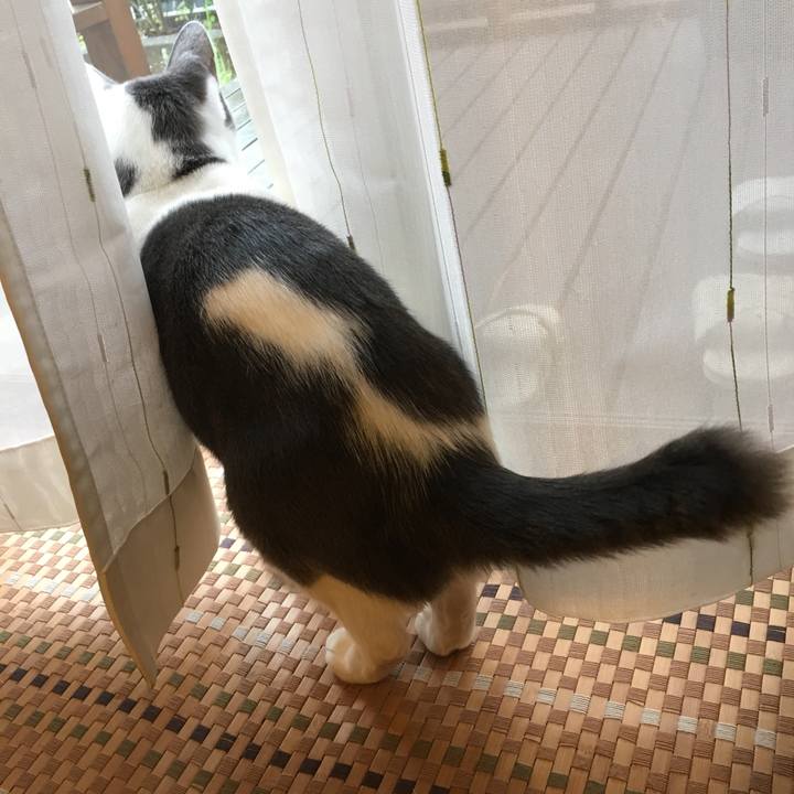 Aa7991b5 3e1b 4363 97f7 663989bb5393 1508288841864