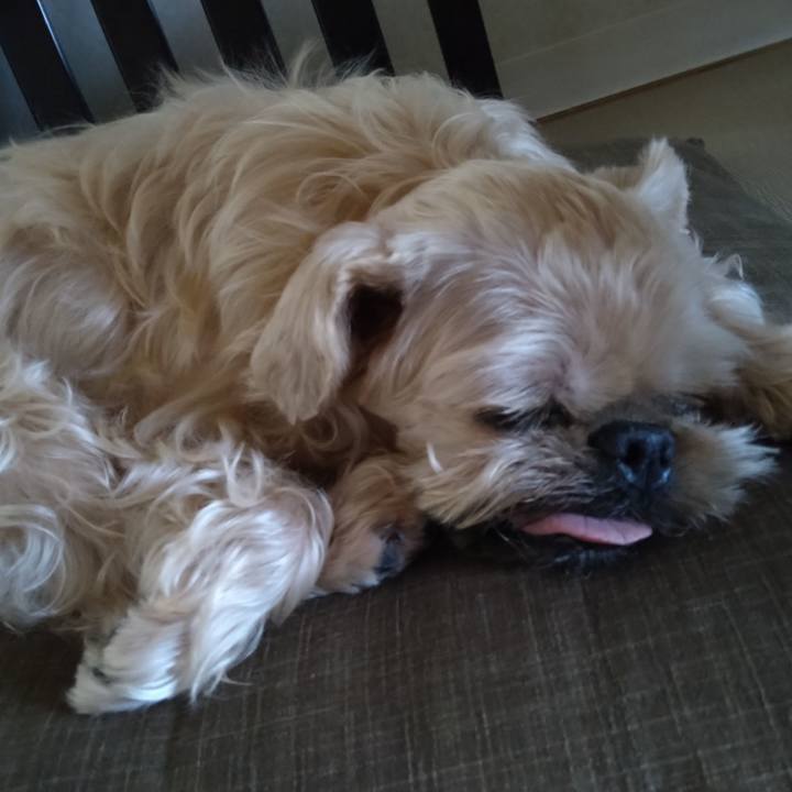 Aa799401 5716 494a a501 cc369be95ded 1656285619600