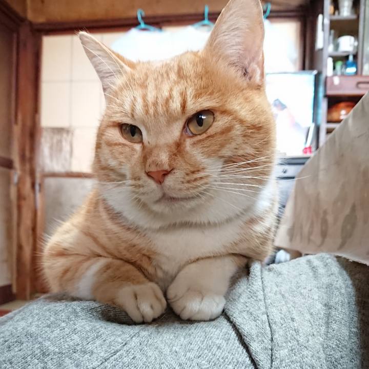 Aa79b36f f13a 42e5 a02f ac6fe4441d04 1577933332110