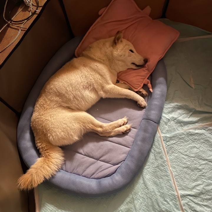 Aa79bedf 1ff3 45be 993d 65d7d6d9238e 1652614181127