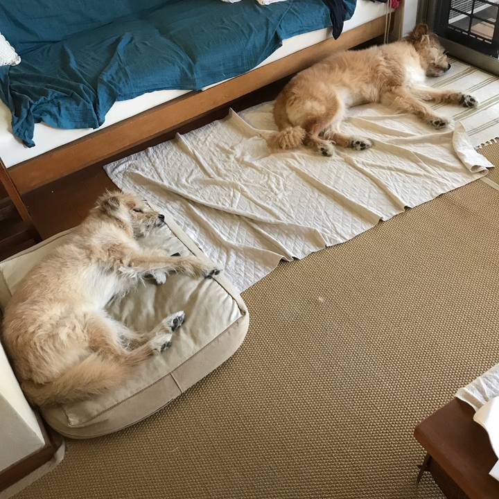 Aa79c625 64f3 485b a716 08b384ab8681 1535170972793