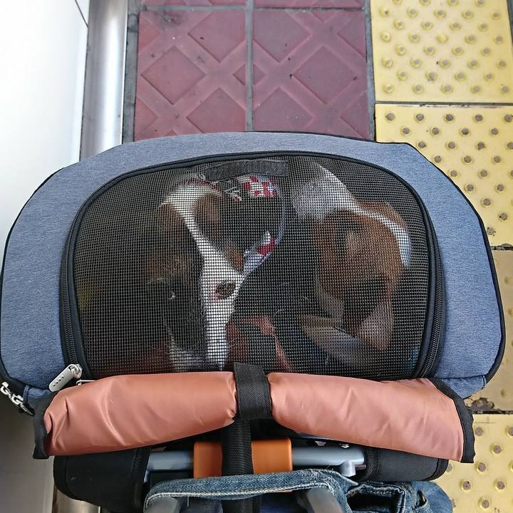 Aa79c70b 6b01 4065 ad46 c67d3716b910 1543385214180