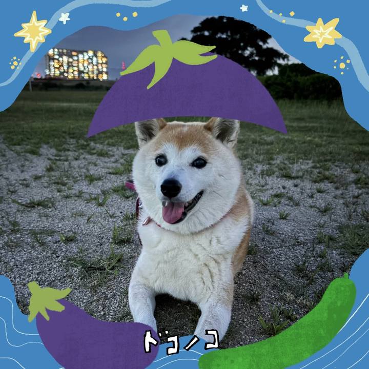 Aa79dd9f 0f00 479b 8936 f8551922e84c 1755078771570