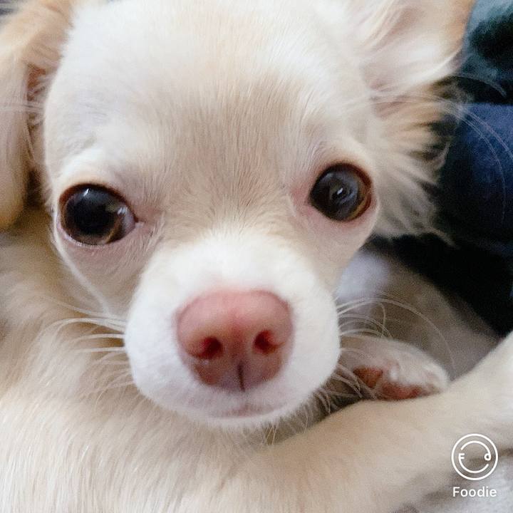 Aa79e4de 1de3 4b79 be4c a997e5423f6a 1603431599942