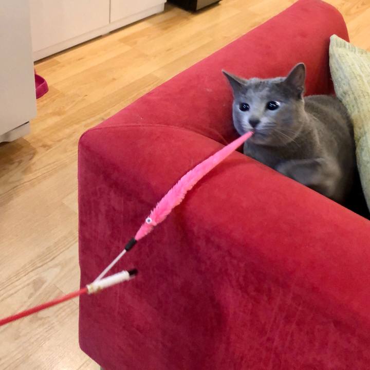 Aa7a3a78 0fc1 4033 889b f05add9bb0e2 1582765800798