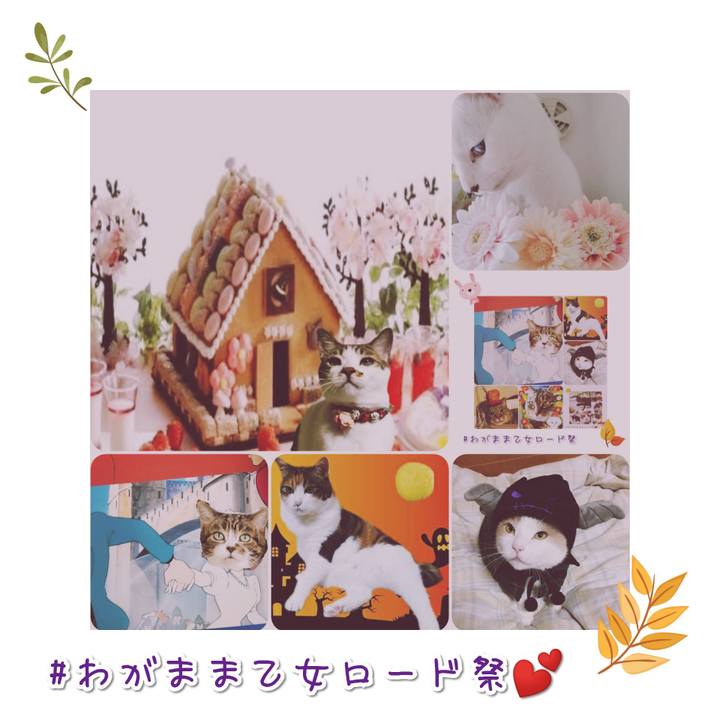 Aa7a452c b4a7 4d1f 8575 2842e60a2dab 1569138169736