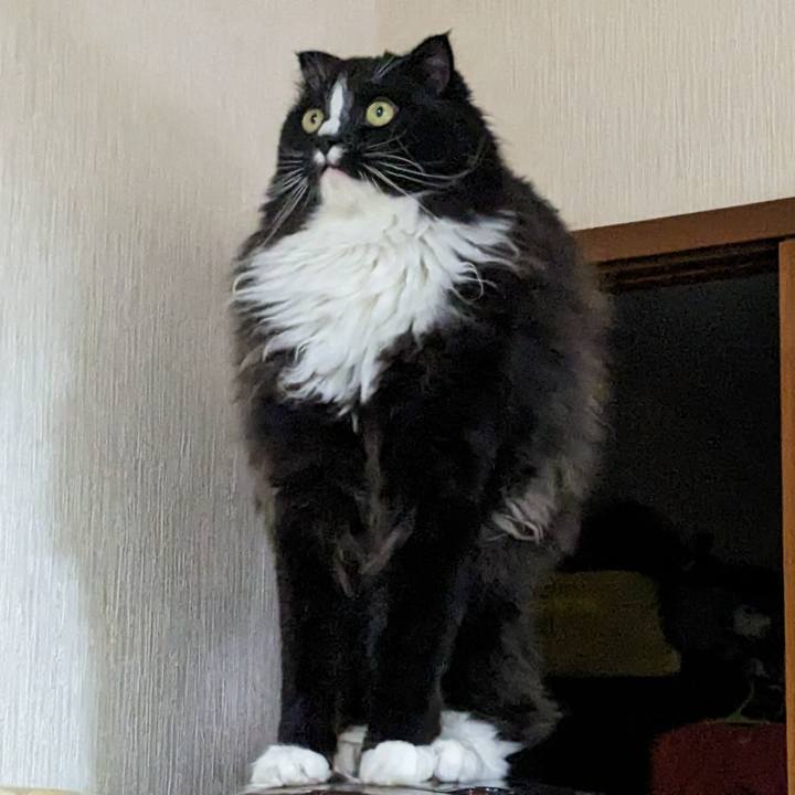 Aa7a7632 1127 46e5 b824 e4cbcc8b6ed2 1682252274671