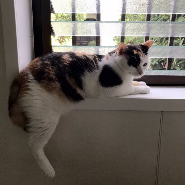 Aa7a7dea 9e45 41f1 be41 e11e6670bab2 1537062024060