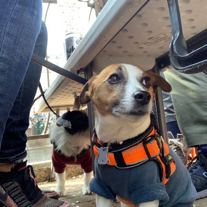 Aa7a812a 33d0 4a37 bc63 ca5548c8dcbd 1554532186191