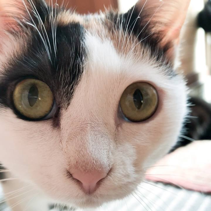 Aa7a822f 8e5c 4c16 abd1 4165d9620411 1524918709895