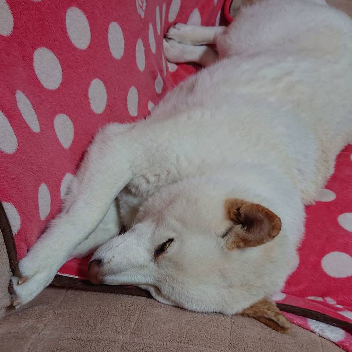 Aa7aa79c a1fc 474a 9dd0 8c4c792bb012 1581516533865