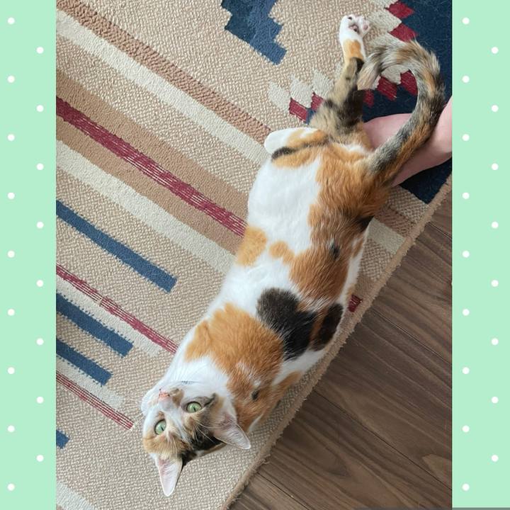 Aa7acf79 e413 4c86 a4ed a4fec1e680bc 1719877628439