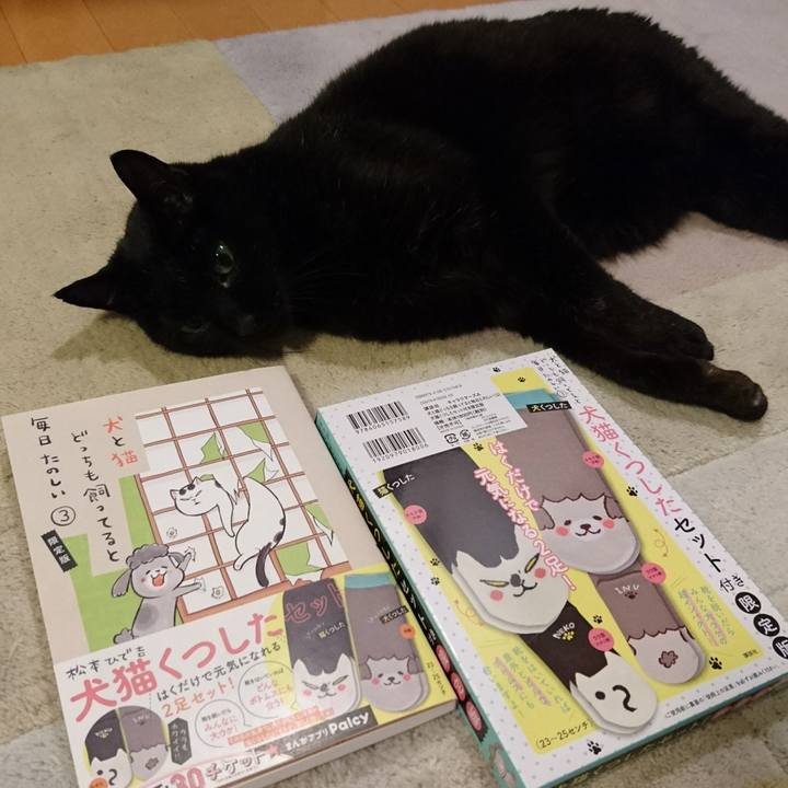 Aa7aeda7 af98 4252 b9bf 2347c8504b95 1557926588898