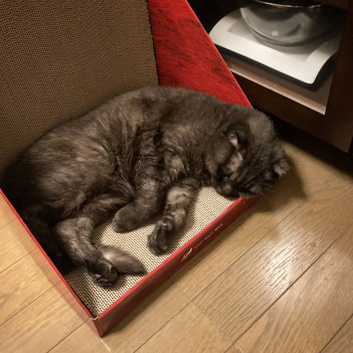 Aa7aef5d 55a3 47dc a1c1 bfc8f3d0e9ac 1629996147729