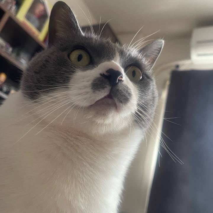 Aa7b2696 4e6a 406c 8144 03af056c2c82 1739683521751