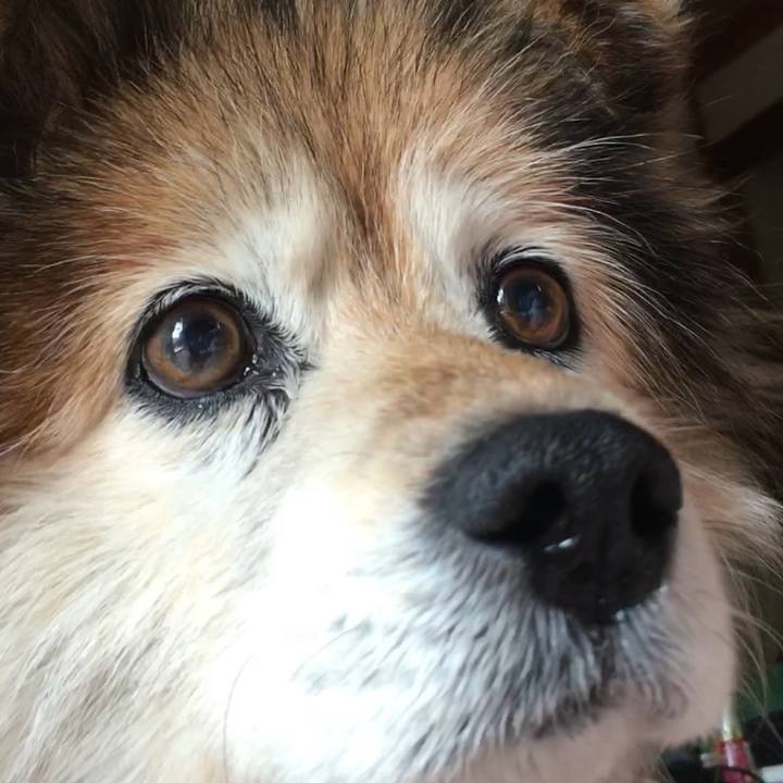 Aa7b303a ffdc 47a8 9c84 6e8ad66182f8 1566876938650