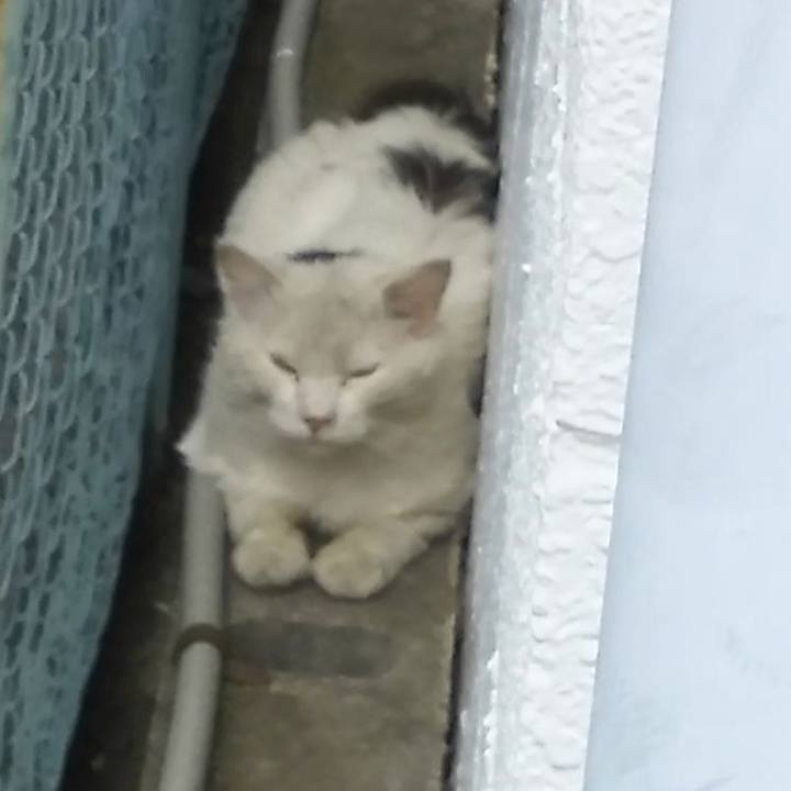 Aa7b594b fc54 48e7 bd4c d0d15301c7b0 1557891255370