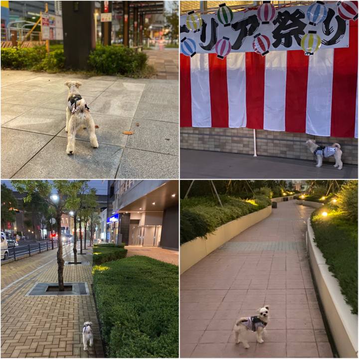 Aa7b64a8 e895 4673 b746 9dedf094741a 1571479183327