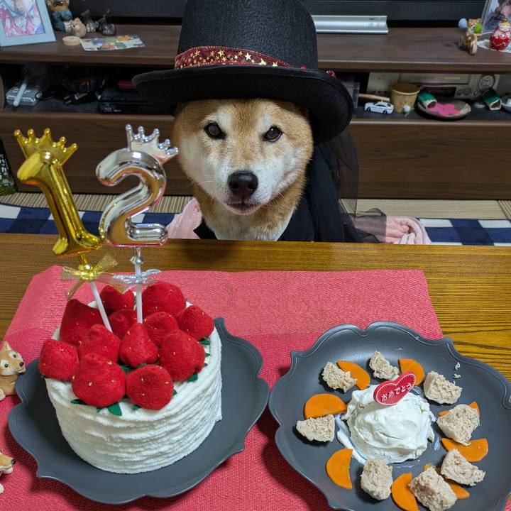 Aa7b7d97 7959 419a 8122 49b7000b2ed8 1733741207961