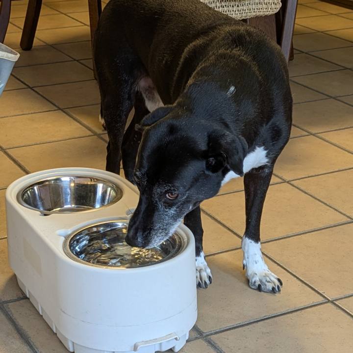 Aa7b9672 bad1 4d4e a11f 378d1feaddf9 1754437485768