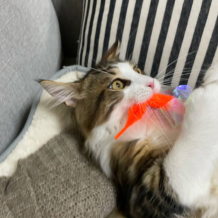 Aa7c05f0 a032 4120 8377 89d5aae6915c 1636632856160