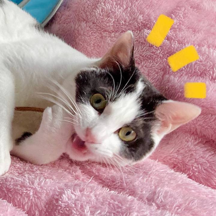 Aa7c3635 55e9 4498 ad4f c6598a934591 1654232681074