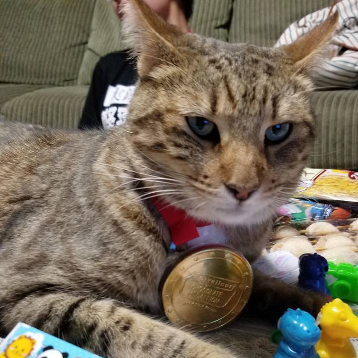 Aa7c4042 d0ce 44f0 b549 2696e434e77a 1627168592062