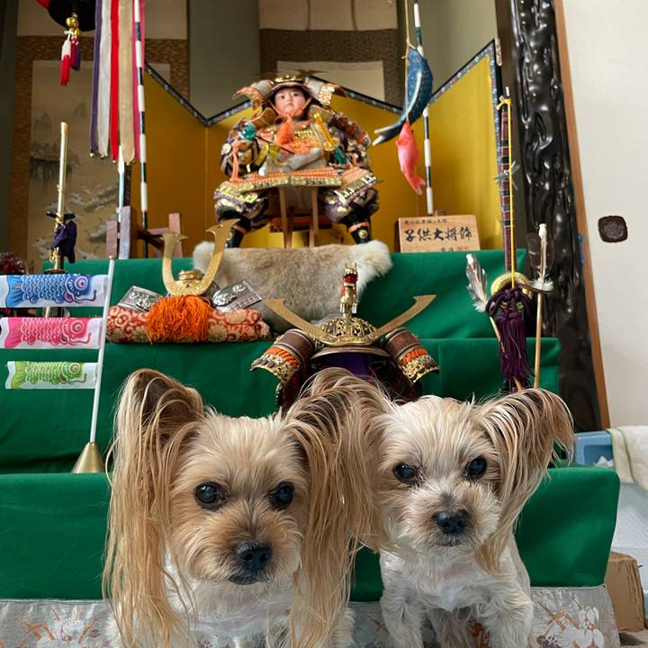 Aa7c4cf7 a54b 492a acfc 0573fab3e4b5 1620208246732