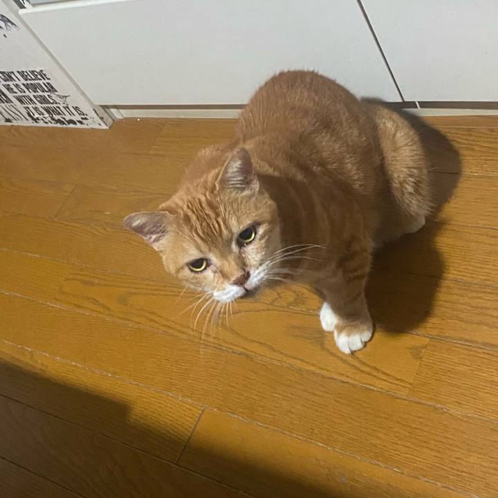 Aa7c99c2 29ba 492e 8349 62177ac027c5 1725294786931