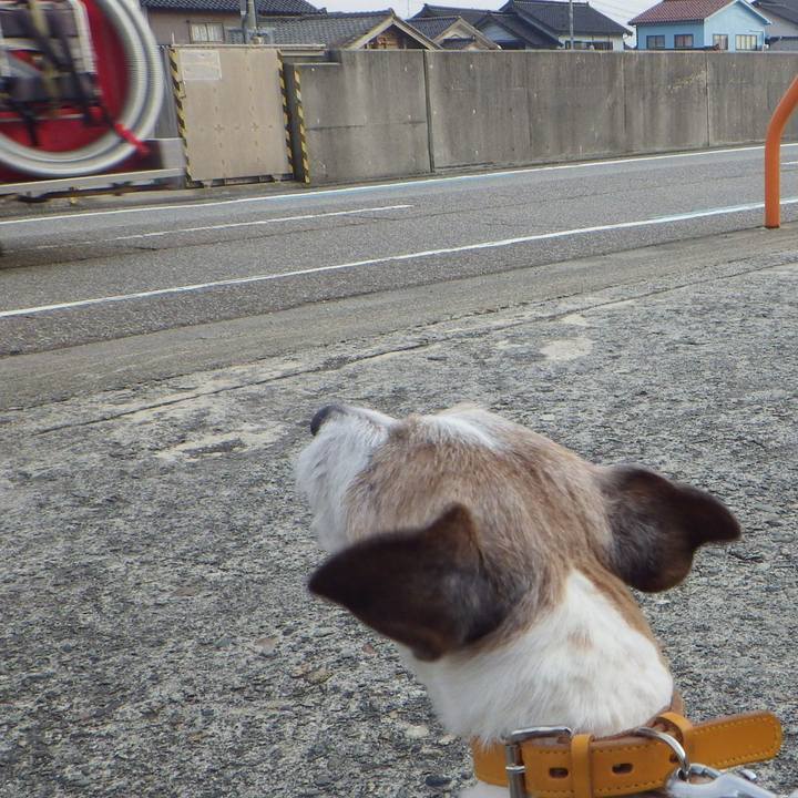 Aa7cbc29 4c8c 4f42 b690 71a35382d48c 1553152655173