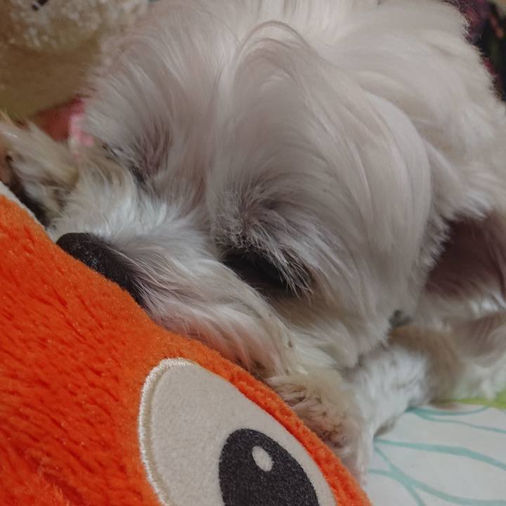 Aa7ce4ca bf9b 4147 925b 7cffc12514fb 1597059470732