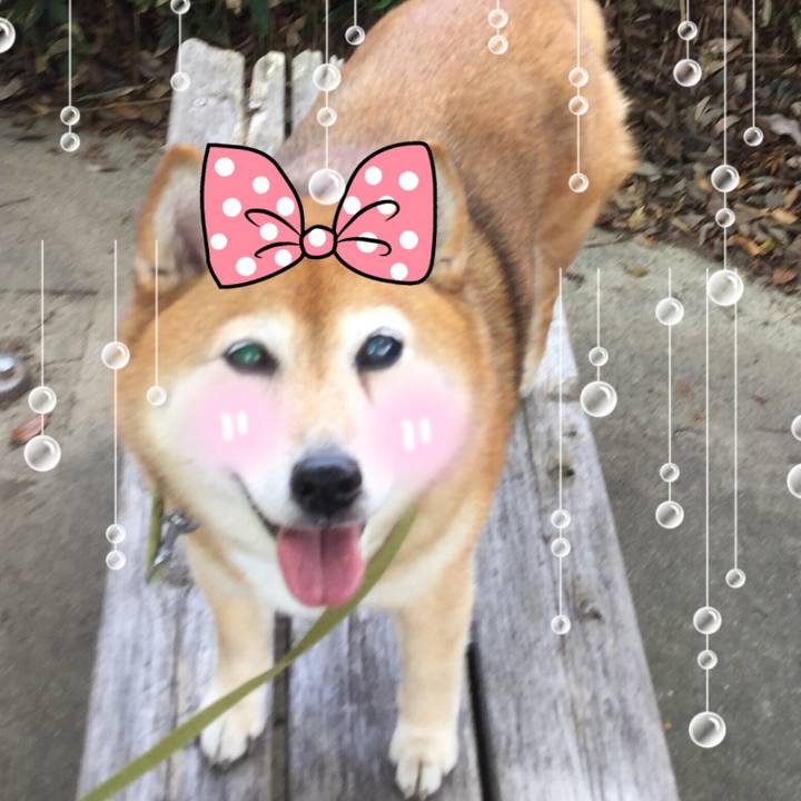 Aa7d1b4d f309 4383 b5a3 c4244ff85c65 1624087839846