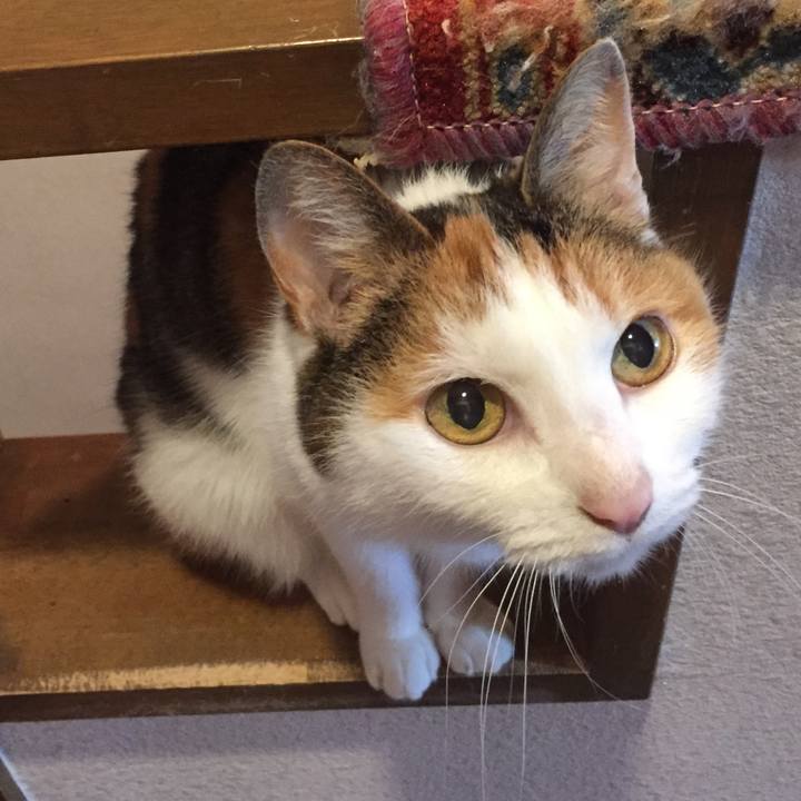 Aa7d21bb 10b7 42e1 b3cf 0c3082ac86fb 1530950357341