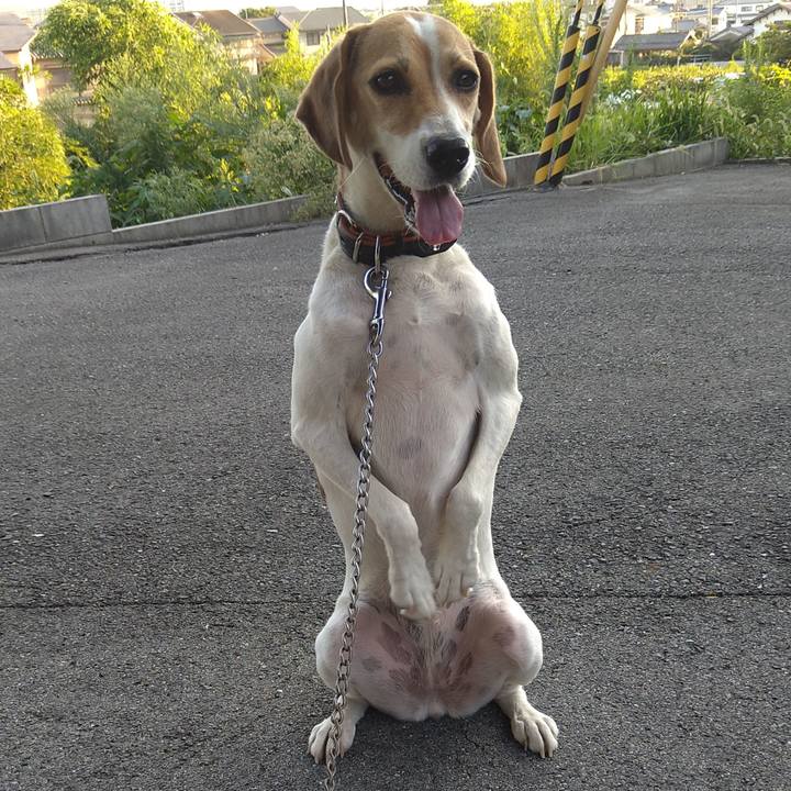 Aa7d2e9a 9758 4a29 bc49 ab0a97a78b47 1630146818706