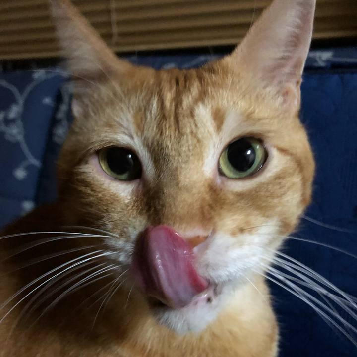 Aa7d6480 685f 4dea b43b e5c0bd4f4975 1598091885613