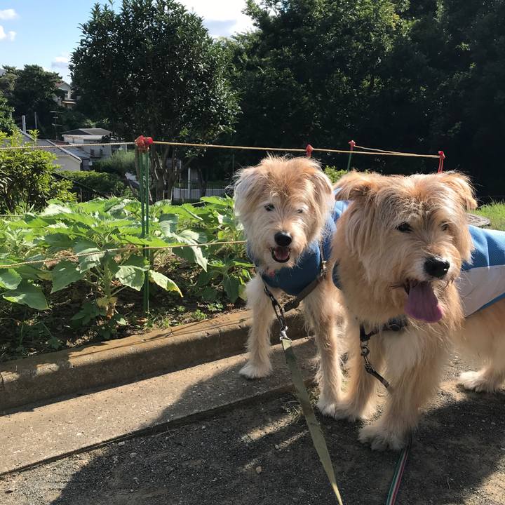 Aa7d7678 1147 4600 b4f0 1b00d4417bc7 1626918516535